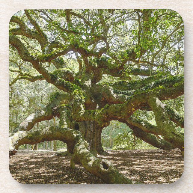 Mighty Angel Oak Untersetzer (Vorderseite)
