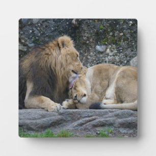 Mighty Lion Liebe Fotoplatte