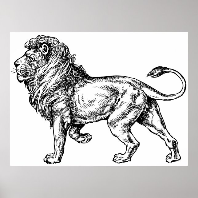 Mighty Lion Sketch Poster (Vorne)