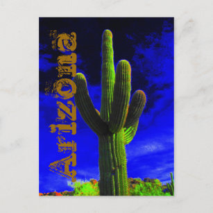 Mighty Saguaro (118), Arizona Postkarte