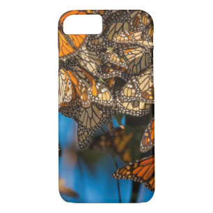 Migrating monarch butterflies cling to leaves Case-Mate iPhone hülle