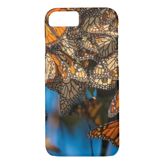 Migrating monarch butterflies cling to leaves Case-Mate iPhone hülle (Rückseite)
