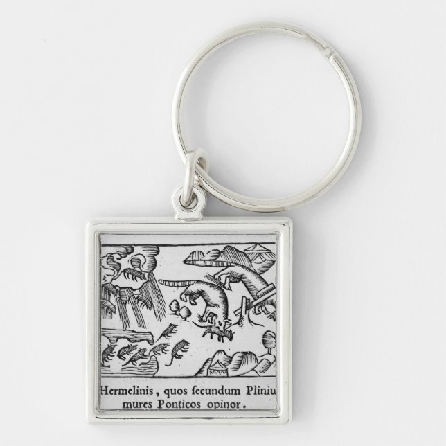 Migration der Lemminge Schlüsselanhänger (Vorne)