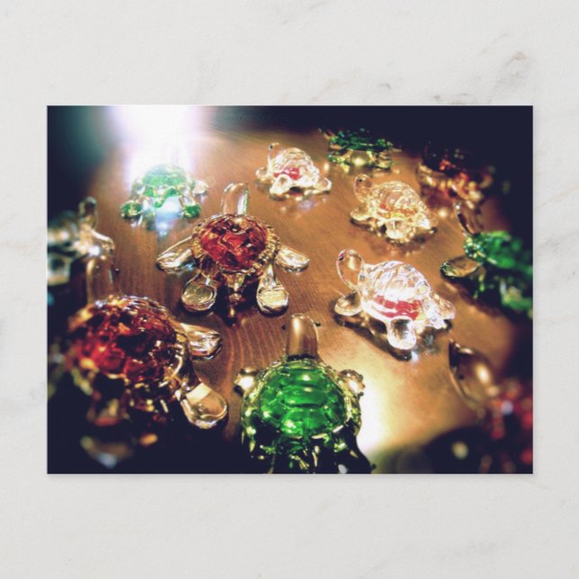 Migration - Glasschildkröten Postkarte (Vorderseite)