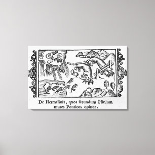 Migration von Lemmingen Leinwanddruck