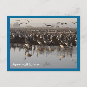 Migrationshintergrund Postkarte