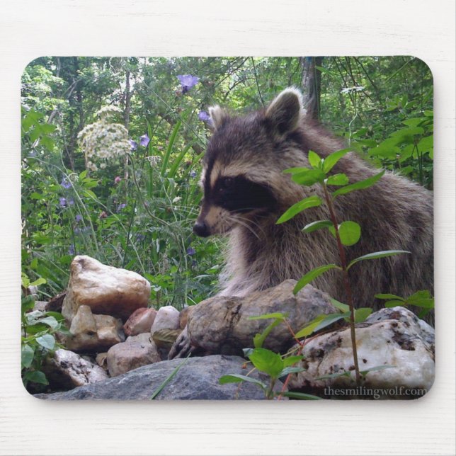 Mika der Waschbär Mousepad (Vorne)