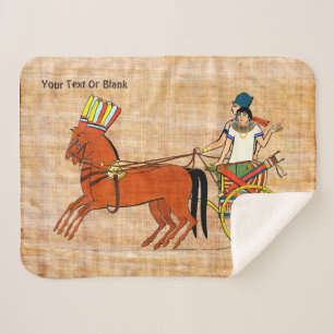 Miketz - Joseph's Chariot Sherpadecke