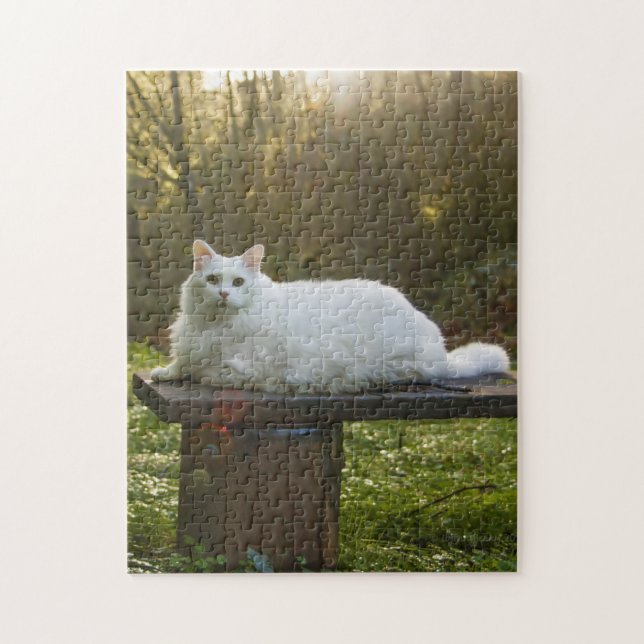 Mikey's Walk Puzzle (Vertikal)