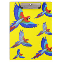 Mikitiez Papagei Hawaii Sommer Sonnenuntergang Str