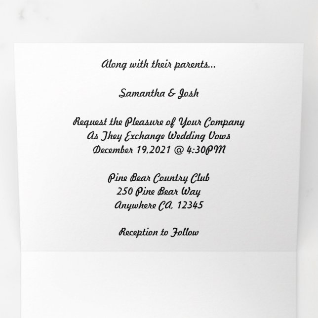 Mikro-Hochzeit + Save the Date Combo-Dreifach Dreifach-gefaltete Programmkarte (Innen Erste Seite)