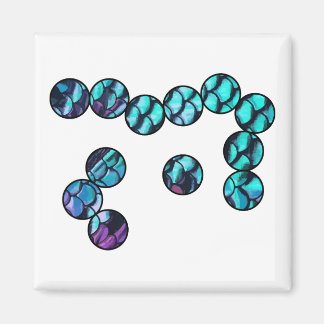 Mikrobenmagnet Magnet