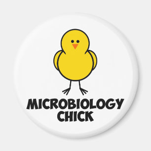 Mikrobiologie-Küken Magnet
