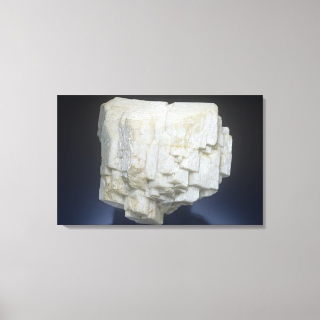 Mikroklon Leinwanddruck (Vorderseite)