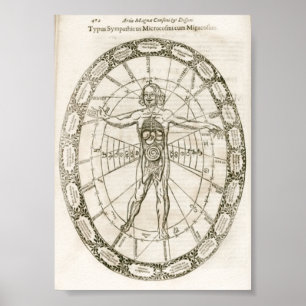 Mikrokosmos-Illustration Poster