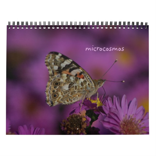 Mikrokosmos Kalender (Titelbild)