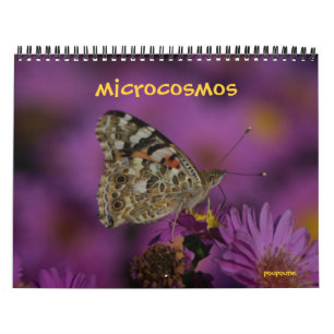 Mikrokosmos Kalender