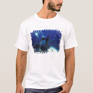 Mikronesien, Palau, Welterbe. Taucher T-Shirt