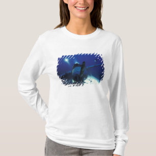 Mikronesien, Palau, Weltkulturerbe. Taucher T-Shirt