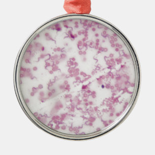 Mikroskop-Foto des menschlichen Bluts mit Ornament Aus Metall