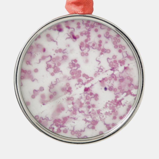 Mikroskop-Foto des menschlichen Bluts mit Ornament Aus Metall (Vorne)