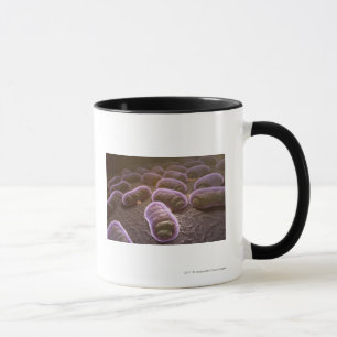 Mikroskopische Ansicht der Bakterien Tasse