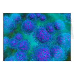 Mikroskopische Ansicht der Diplococcus-Bakterie