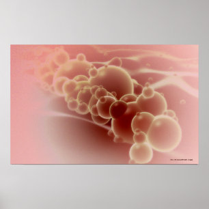 Mikroskopische Ansicht der Latexmikrosphären Poster