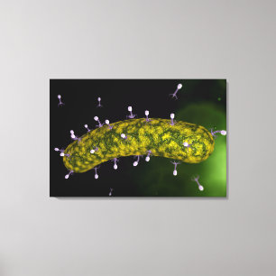 Mikroskopische Ansicht des Leinwanddruck