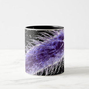 Mikroskopische Ansicht einer helicobacter Zweifarbige Tasse