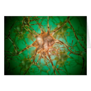 Mikroskopische Ansicht mehrerer Nervenzellen 1