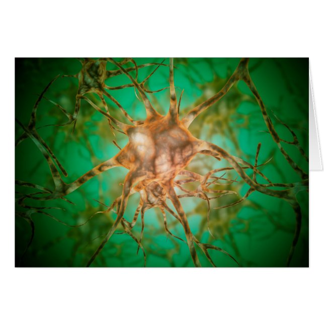 Mikroskopische Ansicht mehrerer Nervenzellen 1 (Vorderseite (Horizontal))