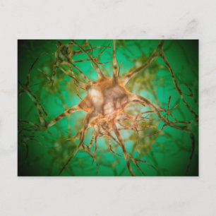 Mikroskopische Ansicht mehrerer Nervenzellen 1 Postkarte