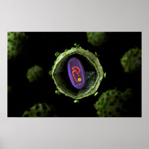 Mikroskopische Ansicht von HIV-Virus, Querschnitts Poster