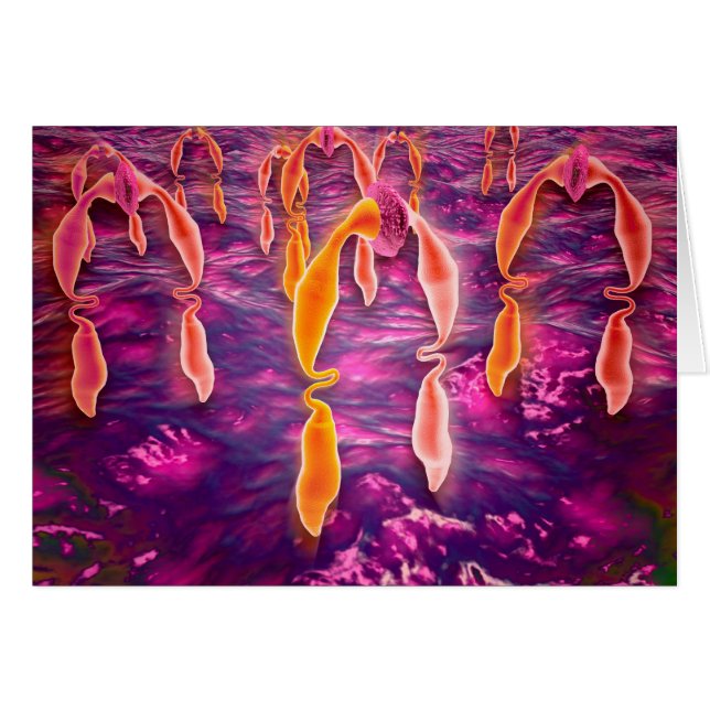 Mikroskopische Darstellung der Liganden-Bindung an (Vorderseite (Horizontal))