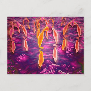 Mikroskopische Darstellung der Liganden-Bindung an Postkarte