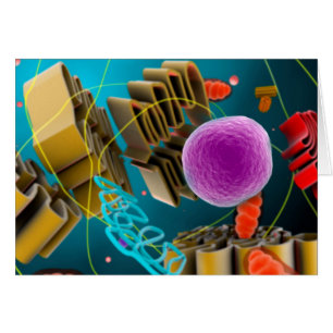 Mikroskopische Darstellung der Zellkerne