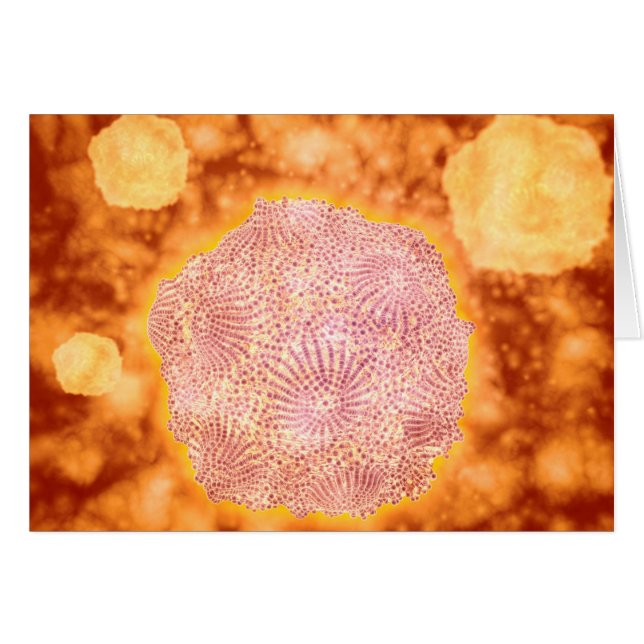 Mikroskopische Darstellung des Canin Parvovirus 1 (Vorderseite (Horizontal))