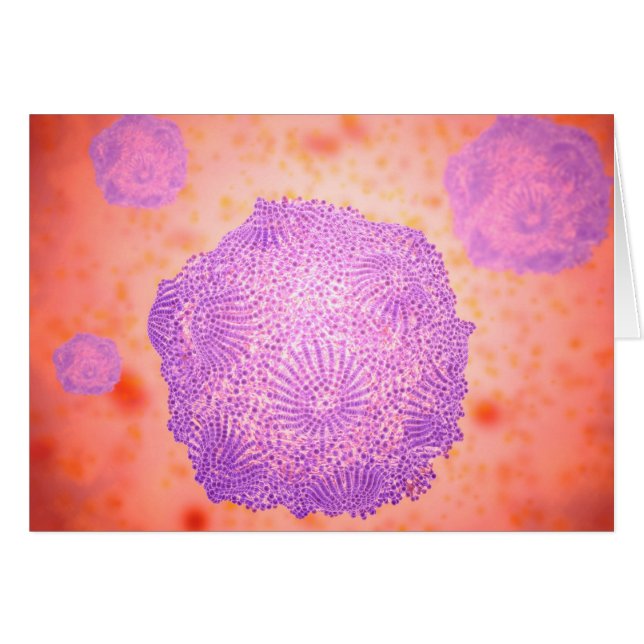 Mikroskopische Darstellung des Canin Parvovirus 2 (Vorderseite (Horizontal))