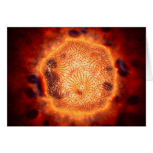 Mikroskopische Darstellung des Canin Parvovirus 4