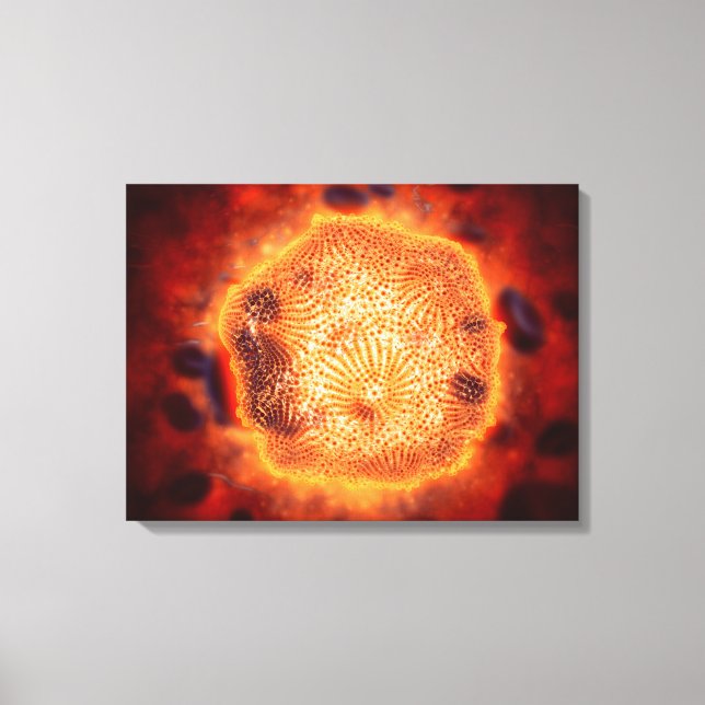 Mikroskopische Darstellung des Canin Parvovirus 4 Leinwanddruck (Vorderseite)