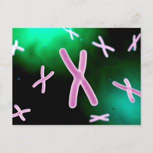 Mikroskopische Darstellung des Chromosoms 2 Postkarte