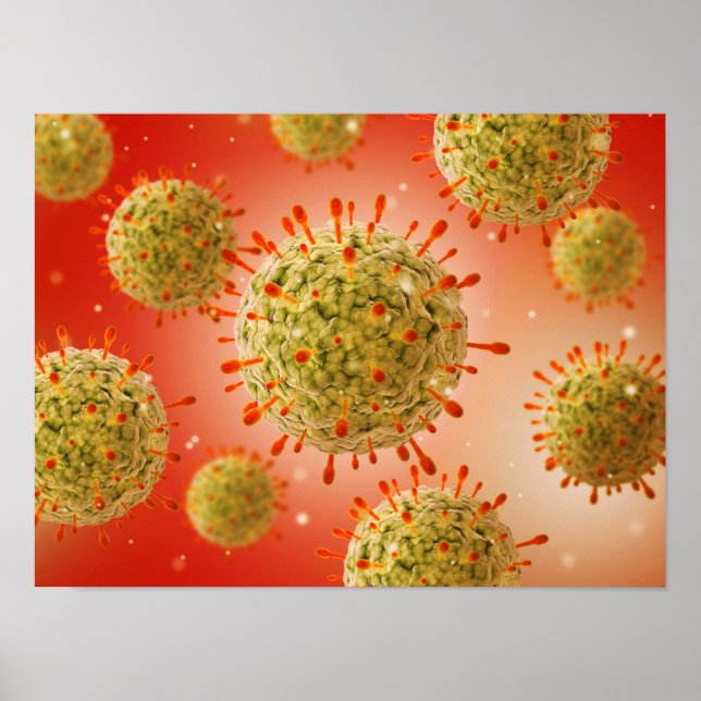 Mikroskopische Darstellung des Herpesvirus 1 Poster (Vorne)