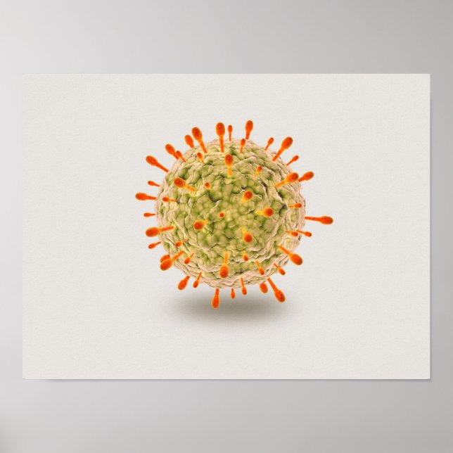 Mikroskopische Darstellung des Herpesvirus 2 Poster (Vorne)