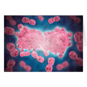 Mikroskopische Darstellung einer Gruppe von Leukäm