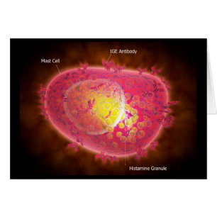 Mikroskopische Darstellung einer Mastzelle