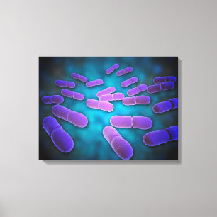 Mikroskopische Darstellung von Listeria monocytoge Leinwanddruck