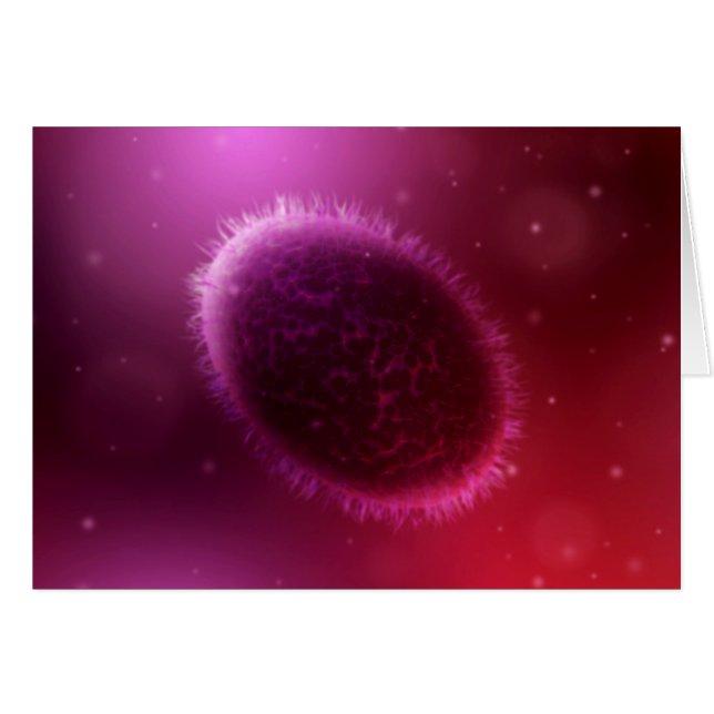 Mikroskopische Darstellung von Samlpox 1 (Vorderseite (Horizontal))