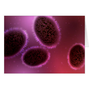 Mikroskopische Darstellung von Samlpox 2