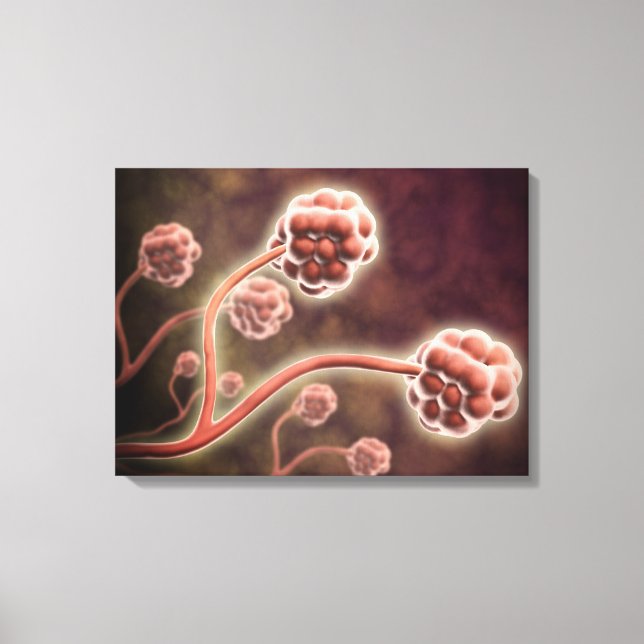 Mikroskopische Darstellung von Stachybotrys Charta Leinwanddruck (Vorderseite)